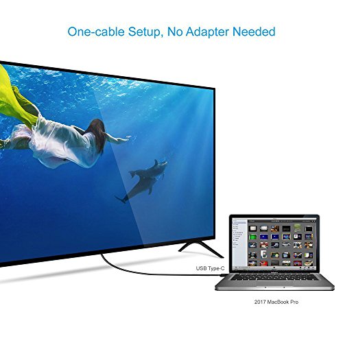 USB-C to DVI Adapter Cable 6FT ,LANBO USB 3.1 Type C (Thunderbolt 3 Compatible) to DVI Cable for 2017 MacBook Pro/Samsung Galaxy S8 and More