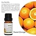 Benatu Citrus Scent Diffuser Oil for Home - (Sweet Orange, Grapefruit, Bergamot) Pure Essential Oil Sets for Soap Making, Body Massage, Aromatherapy