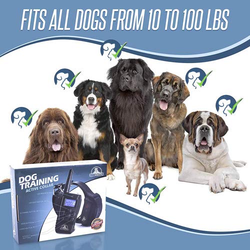 Pet Union PT0Z1 Premium Dog Training Shock Collar, Fully Waterproof