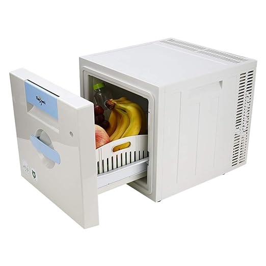 Roscloud Puro Silencioso 21l Coche Refrigerador Coche Hogar Uso ...