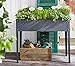 Dehner Raised Bed Münster, Approx. 100 x 30 cm/Height 80 cm, Metal, Dark Greythumb 3