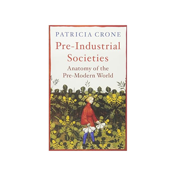 Buy PreIndustrial Societies Anatomy of the PreModern World Online at desertcart Cyprus