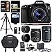 Canon EOS 80D Digital SLR Kit with EF-S 18-55mm f/3.5-5.6 Image Stabilization STM & Canon EF-S 55-250mm Lens + Polaroid .43x Super Wide Angle & 2.2X HD Telephoto Lens + Memory Cards + Accessory Bundle