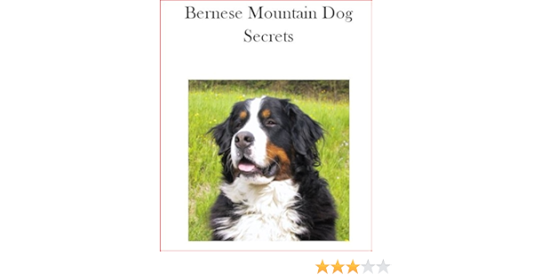 Bernese Mountain Dog Secrets How To Raise Happy And Healthy Bernese Kindle Edition By Morgan Tess Crafts Hobbies Home Kindle Ebooks Amazon Com