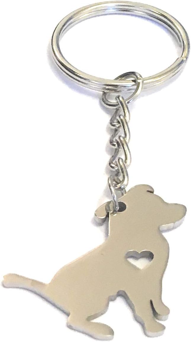 FizzyButton Gifts Pitbull Terrier Puppy Dog Keyring Key Ring with Stainless Steel Silhouette Charm and Turquoise Gift Box