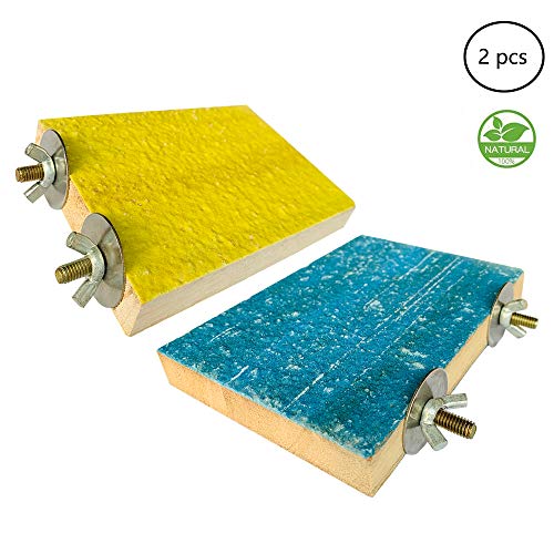 PINVNBY Parrot Perch Stand Platform Bird Paw Grinding Toys Natural Wood Parakeet Training Playground Birdcage Accessories for Budgies Conure Hamster Gerbil Rat Mouse (Random Color.2pcs)