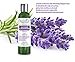 Hair Growth/Anti-Hair Loss Sulfate-Free Shampoo “Lavender & Cedarwood”. Alopecia Prevention and DHT Blocker. Doctor Developed. NEW 2018 FORMULA!thumb 2