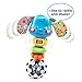 VTech Baby Rattle and Sing Puppy (Frustration Free Packaging)