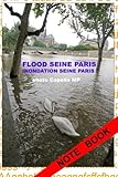 Inondation Seine Paris 2016: Flood Seine Paris (Paris be always Paris) (Volume 3) (French Edition) by 