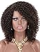 Kalyss Brown Highlights Afro Kinky Curly Wigs for Black Women Premium Synthetic Hair Wig Curved Part Natural Looking Hair Wigs for Women Daily Wear Hairpiece