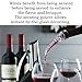 Wine Aerator Pourer, Premium Aerating Pourer and Decanter Spout