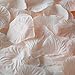 BalsaCircle 2000 Blush Silk Artificial Rose Petals Wedding Ceremony Flower Scatter Tables Decorations Bulk Supplies Wholesale