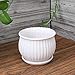 Plant pots - 5.5-inch Cylindrical Ceramic Planters with Connected Saucer, Round Modern Ceramic Garden pots - Succulent Medium-Sized Plant pots Set of 4 (Pure White)