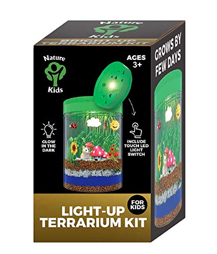 Glow-in-The-Dark Terrarium Kit for Kids LED Light on Lid | Create Crafts Your Own Customized Mini Garden | Science Educational Set for Birthday Gifts | Great STEM Toys for Boys and Girls [Ages 3-12]