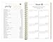 bloom daily planners 2018 Calendar Year HARD COVER Daily Planner - Passion/Goal Organizer - Monthly and Weekly Datebook Agenda Diary - January 2018 - December 2018 (6