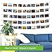 MW Photo & Artwork Display | Self Adhesive Hanging Photo Display | Modular Hanging Artwork Display | Adjustable Display for Photos | Natural Wood |10 Holders | 50 Clips | 20 ft White Twine