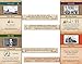 Academy Games | Freedom The Underground Railroad | Board Game | 1-4 Players