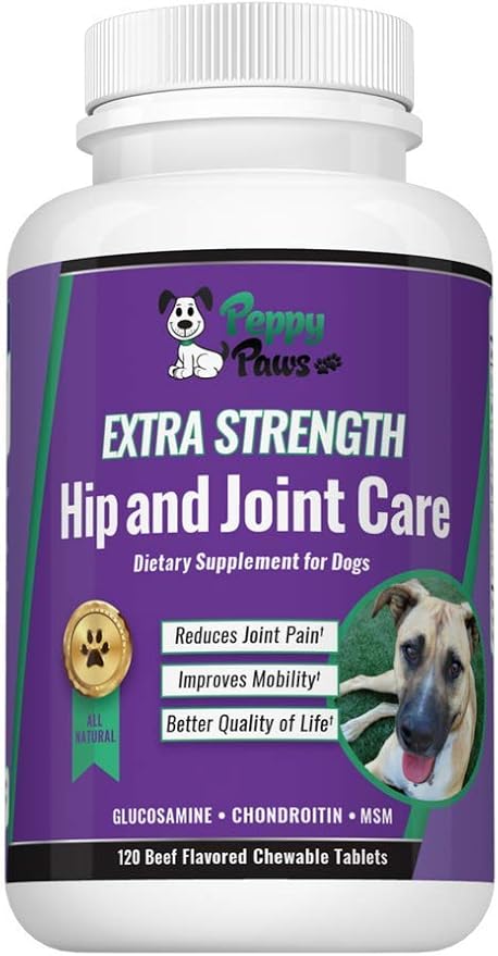 glucosamine chondroitin for dogs