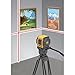 Johnson Level & Tool 40-6603 Self-Leveling Cross-Line Laser, Red, 1 Laser