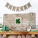 St. Patrick's Day Decorations Irish Shamrock Burlap Banner Flags (St. Patrick's)