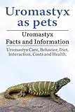 Uromastyx as pets. Uromastyx Facts and Information. Uromastyx Care, Behavior, Diet, Interaction, Costs and Health. by 