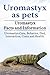 Uromastyx as pets. Uromastyx Facts and Information. Uromastyx Care, Behavior, Diet, Interaction, Costs and Health. by 