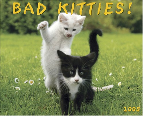 Bad Kitties 2008 Calendar