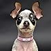 Didog Cute Leather Padded Custom Dog Collar with Engraved Nameplate ID Tag,Fit Cats and Small Medium Dogs,Pink,XS Size
