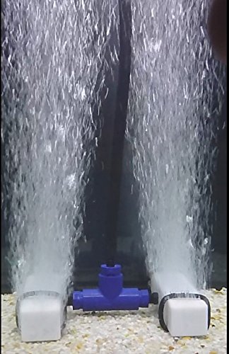 hydroponics hooligan - hydroponics/aquaponics/koi pond