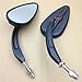 SMT-Skull Flame Side Mirrors Compatible With 1984-2014 universal to most Harley Night Train FXSTB Black [B00RUDWX4G]