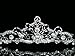 Wire Scroll Bridal Princess Crystal Wedding Tiara - Silver Plated T252