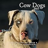 Cover for 9781933790930