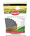 Sunbest Whole Blue English Poppy Seeds (England) in Resealable Bag Non Gmo-Vegan (15 Ounce)