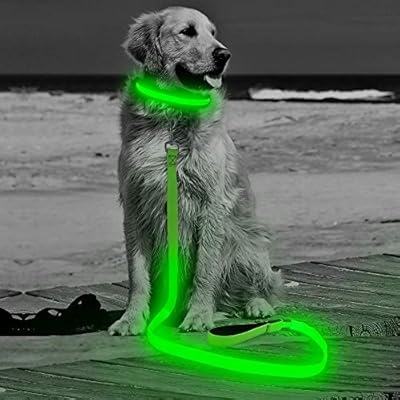 light up leash