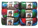 Lion Brand Yarn Landscapes Yarn (6-Pack) (Apple Orchard 545-205)