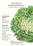 Broadleaf Batavian Escarole Seeds - 1 gram