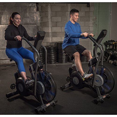 exertec fitness air bike