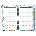 AT-A-GLANCE Academic Year Weekly/Monthly Appointment Book/Planner, July 2016 - June 2017, 4-7/8 x 8