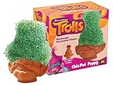 Chia Poppy, Trolls Pottery Planter