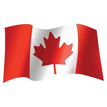Image result for canada flag images