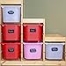 Colore Chalkboard Labels - Premium Large Chalk Contact Paper For Mason Jars, Canning or Bakery Supplies, Kitchen Pantry Storage & Canister Sets, Cookie & Spice Glass Jar, Beer & Wine Bottles - 64 Pack
