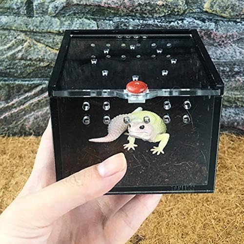 Transparent Reptile Feeding Box Acrylic Vivarium Terrarium Breeding Box Small Animal Snake Tank for Lizard Spider