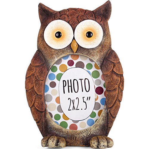 Owl Picture Frames | Kritters in the Mailbox | Owl Picture Frame