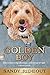 Golden Boy: How to raise a dog all wrong . . . and end up all right - A Memoir (Sort of) by Sandy Rideout