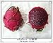 20 PURPLE DRAGON FRUIT (Pitaya / Pitahaya / Strawberry Pear) Hylocereus Undatus Cactus Seeds