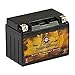 Pirate Battery YTX9-BS 12 V 120 CCA AGM – Maintenance-Free 8 Ah Battery for ATV, Motorcycle, Scooter, Jet Ski – T3 Nut & Bolt Terminal – Fits Yamaha Raptor 350, Honda CRF450, Polaris Trail Blazer