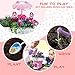 GILOBABY My Happy Garden, DIY Assembly Outdoor Garden Toys for Kids, Grow Your Own Garden, Gift for Girls & Boys