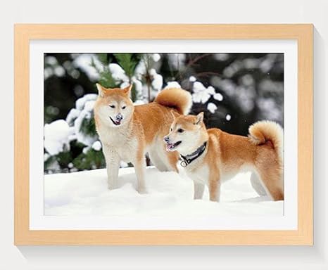 Amazon Pupbeamo柴犬 アートプリント木製フレーム画像印刷壁アートホーム装飾 ウッドカラー 16 X 12 Inches アートフレーム ポスター オンライン通販