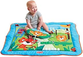 gymini kick and play