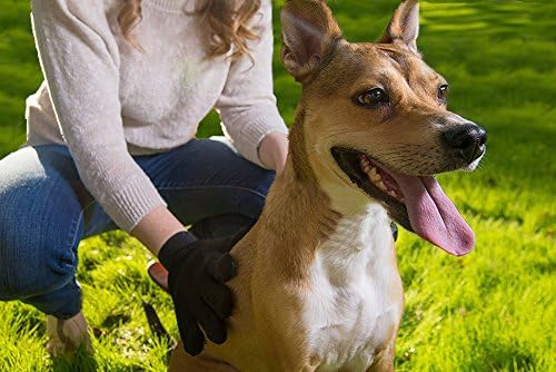 Pure Paws De-shedding &amp; Grooming Glove